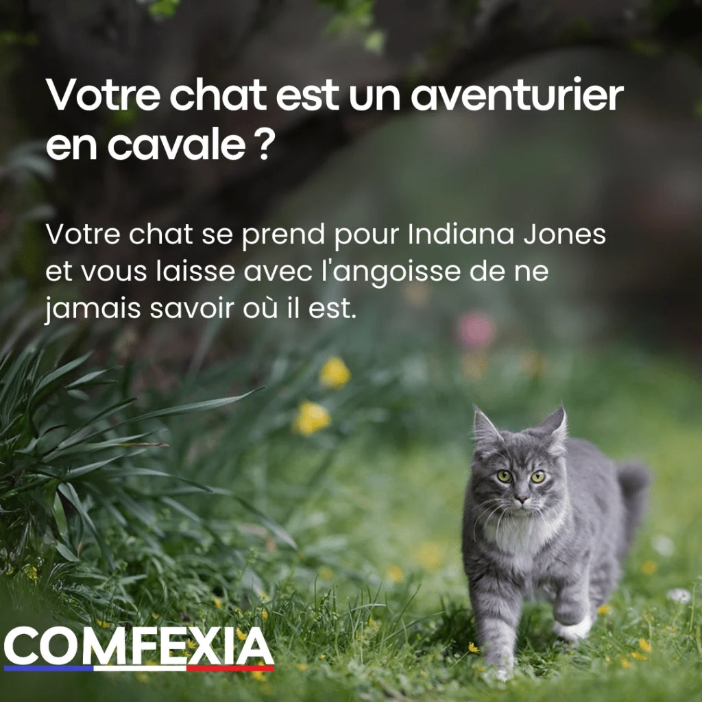 CatTracker™ – Traceur GPS Pour Chat 3 en 1