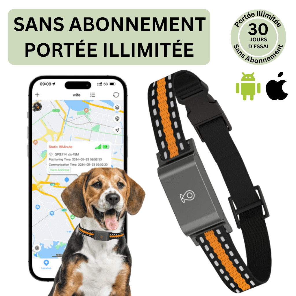 Comfexia™ – Collier GPS Chien Sans Abonnement Suivi Précis & Illimité