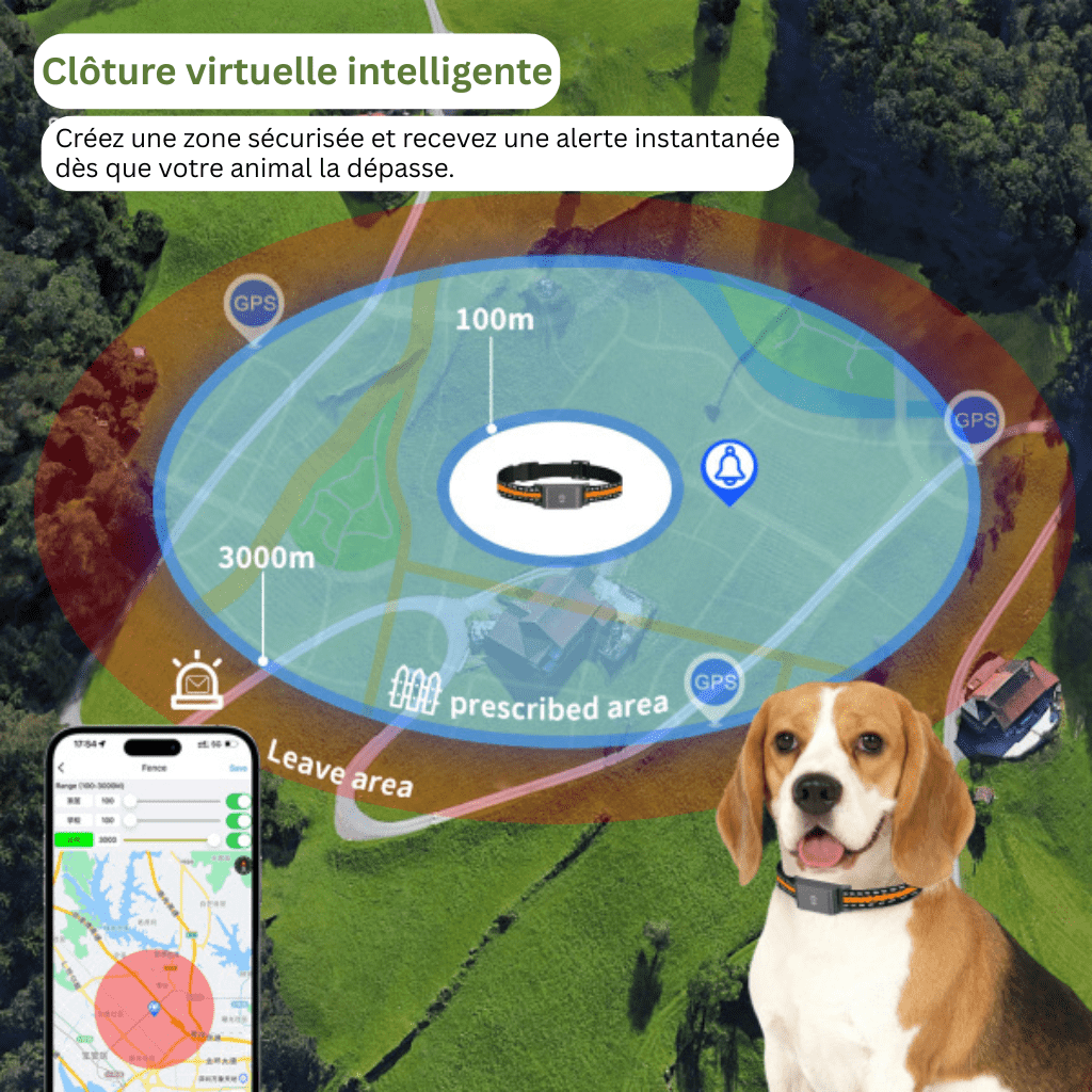 Comfexia™ – Collier GPS Chien Sans Abonnement Suivi Précis & Illimité