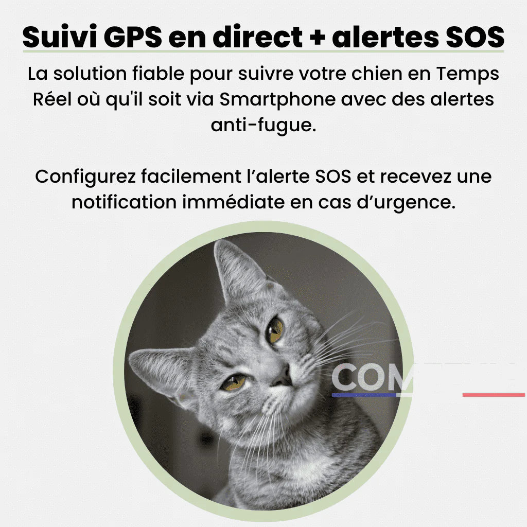 Comfexia™ – Traceur GPS Chat Sans Abonnement & Sans Carte SIM, Compatible Android & iOS