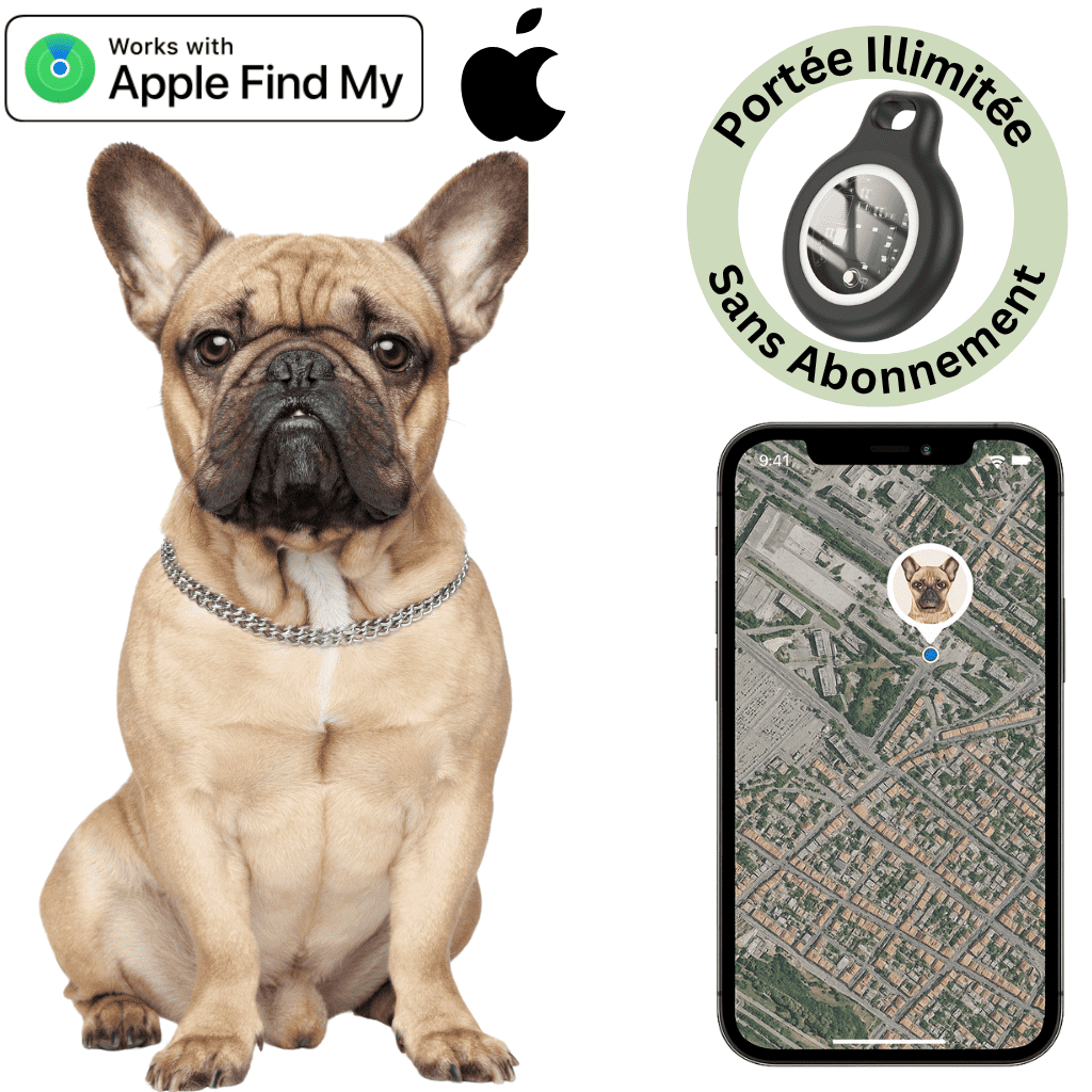 Comfexia™ – Traceur GPS Chien Sans Abonnement, Localisation Temps Réel