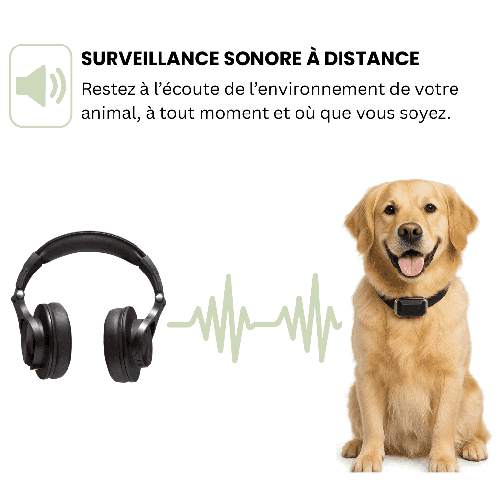 Petrovia™ – Collier GPS Sans Abonnement pour Chien & Chat, Portée Illimitée