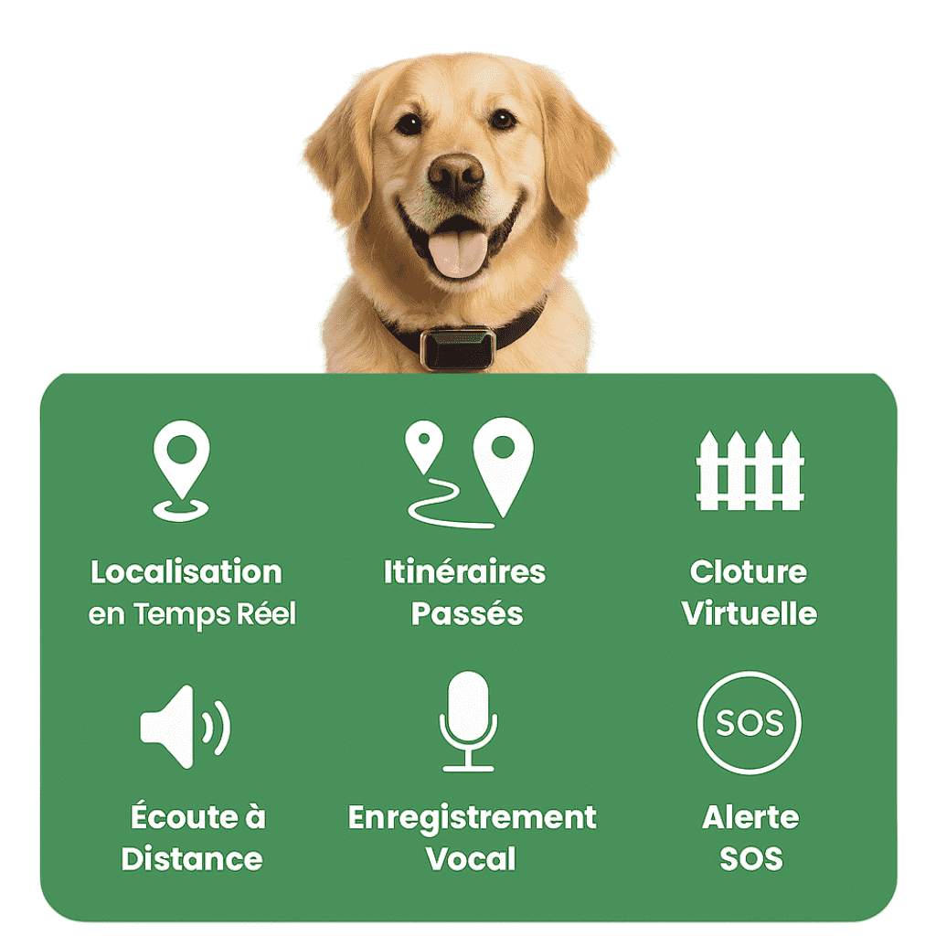 Petrovia™ – Collier GPS Sans Abonnement pour Chien & Chat, Portée Illimitée