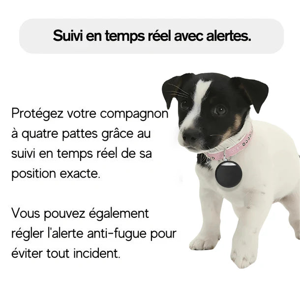RoverFex™ – Traceur GPS Chien Sans Abonnement | Alertes Anti-Fugue