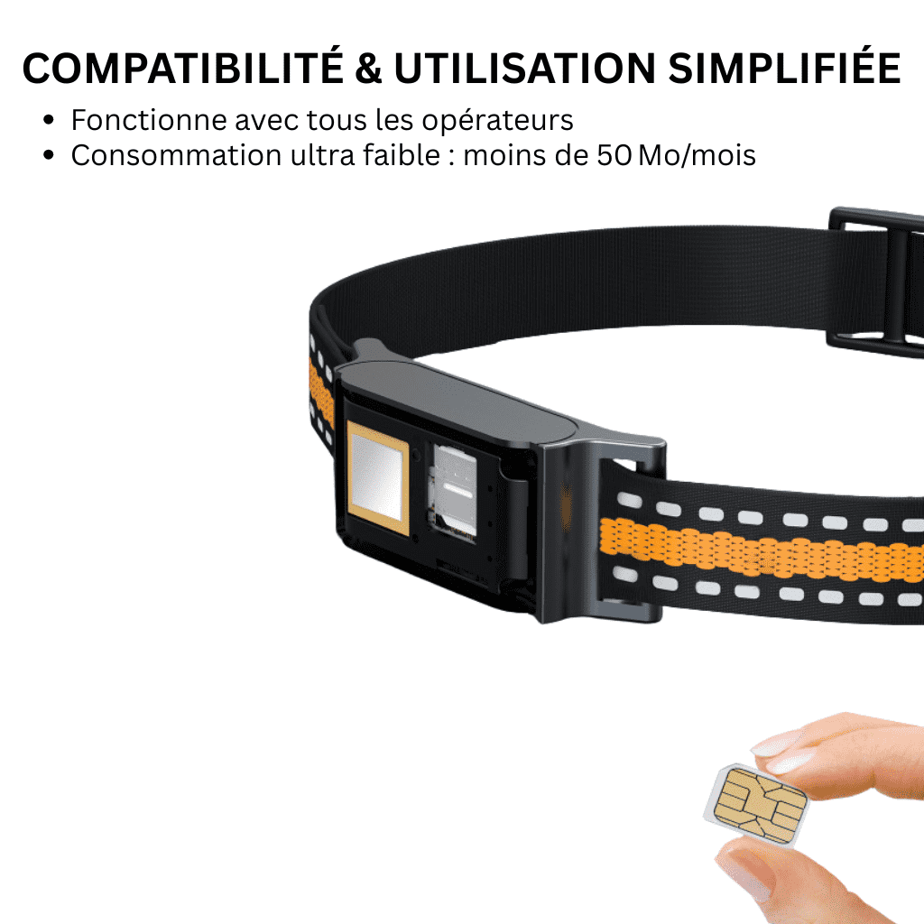 SafePaw™ – Collier GPS Chat Sans Abonnement avec Suivi Précis, Portée Illimitée