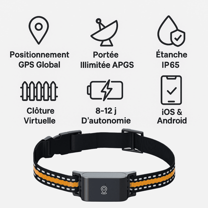 Comfexia™ – Collier GPS Chat Sans Abonnement Suivi Précis & Illimité