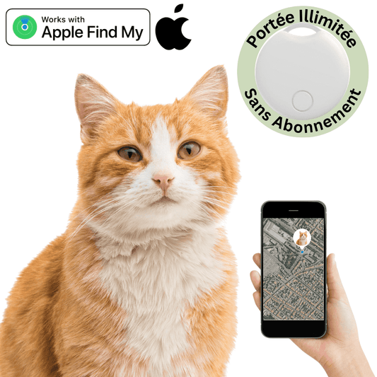 Comfexia™ – Traceur GPS Chat Sans Abonnement, Compatible Android & iOS