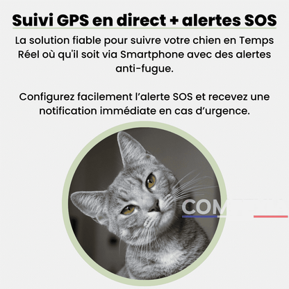 Comfexia™ – Traceur GPS Chat Sans Abonnement, Compatible Android & iOS