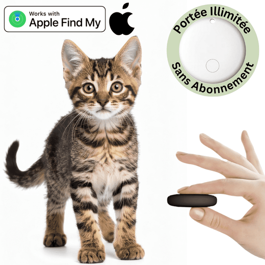 Comfexia™ – Traceur GPS Chat Sans Abonnement & Sans Carte SIM, Compatible Android & iOS