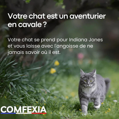 Comfexia™ – Traceur GPS Chat Sans Abonnement & Sans Carte SIM, Compatible Android & iOS