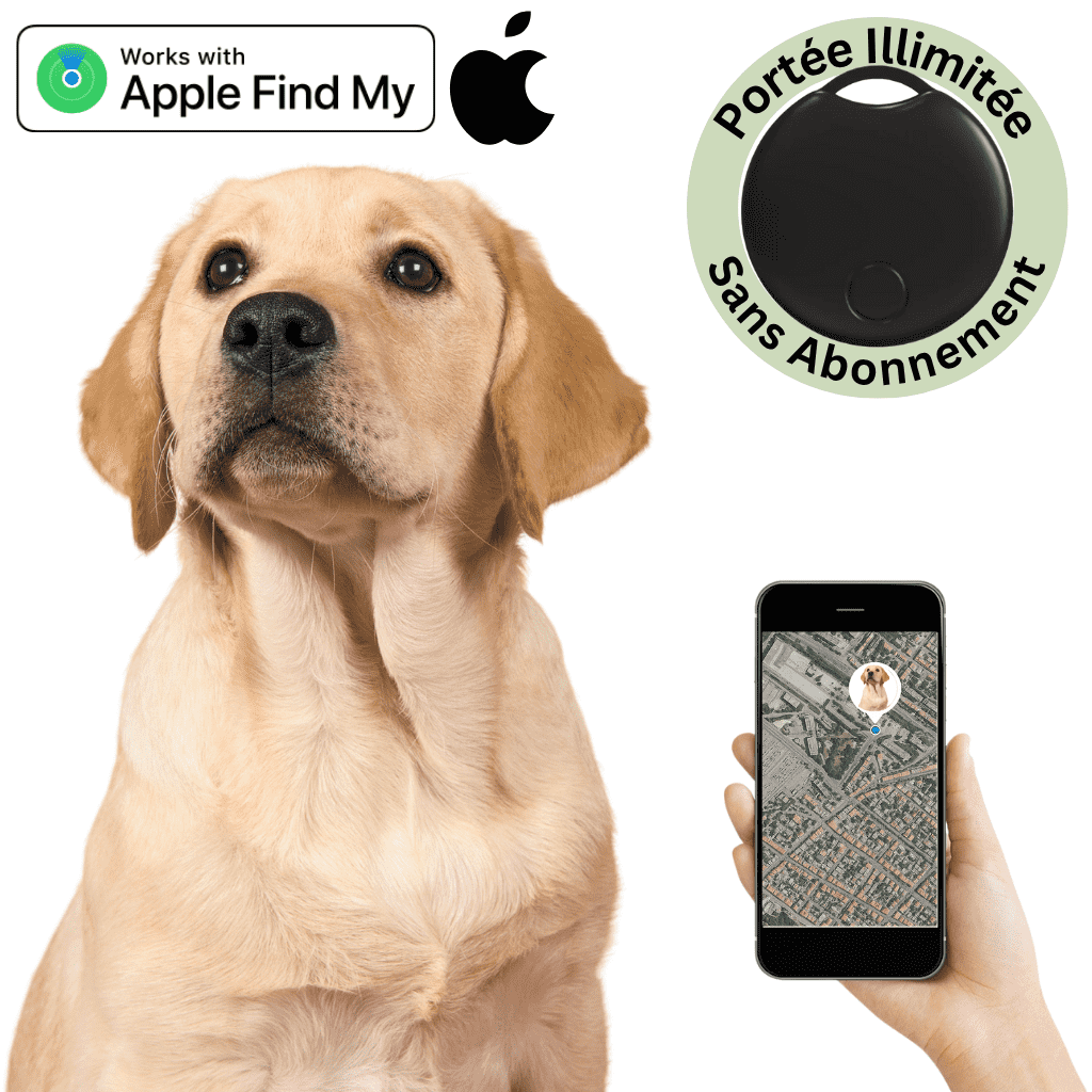 Comfexia™ – Traceur GPS Chien Sans Abonnement, Compatible Android & iOS