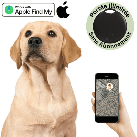 Comfexia™ – Traceur GPS Chien Sans Abonnement, Compatible Android & iOS