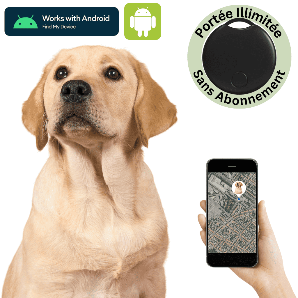 Comfexia™ – Traceur GPS Chien Sans Abonnement, Compatible Android & iOS