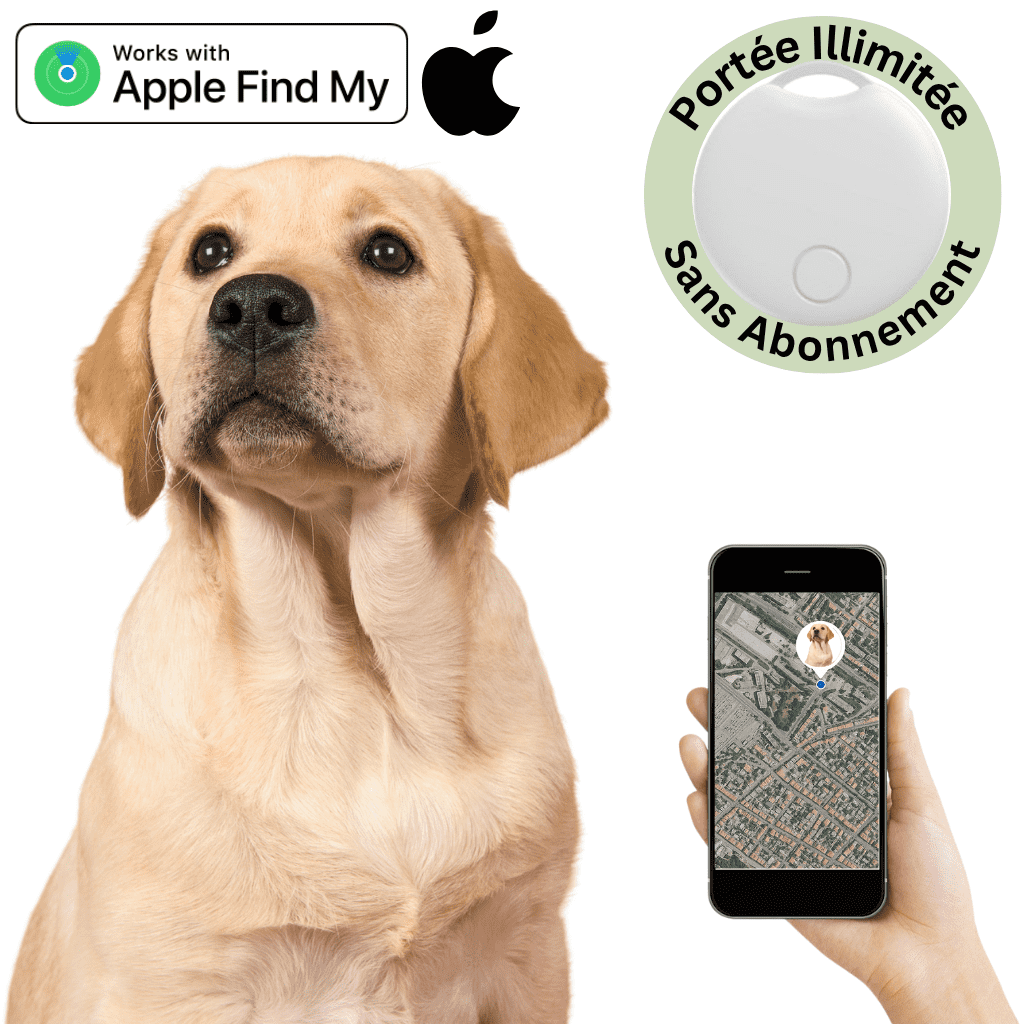 Comfexia™ – Traceur GPS Chien Sans Abonnement, Compatible Android & iOS