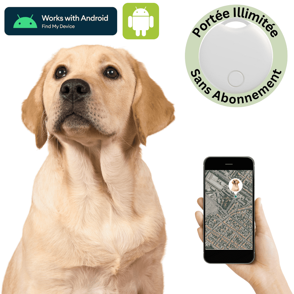 Comfexia™ – Traceur GPS Chien Sans Abonnement, Compatible Android & iOS