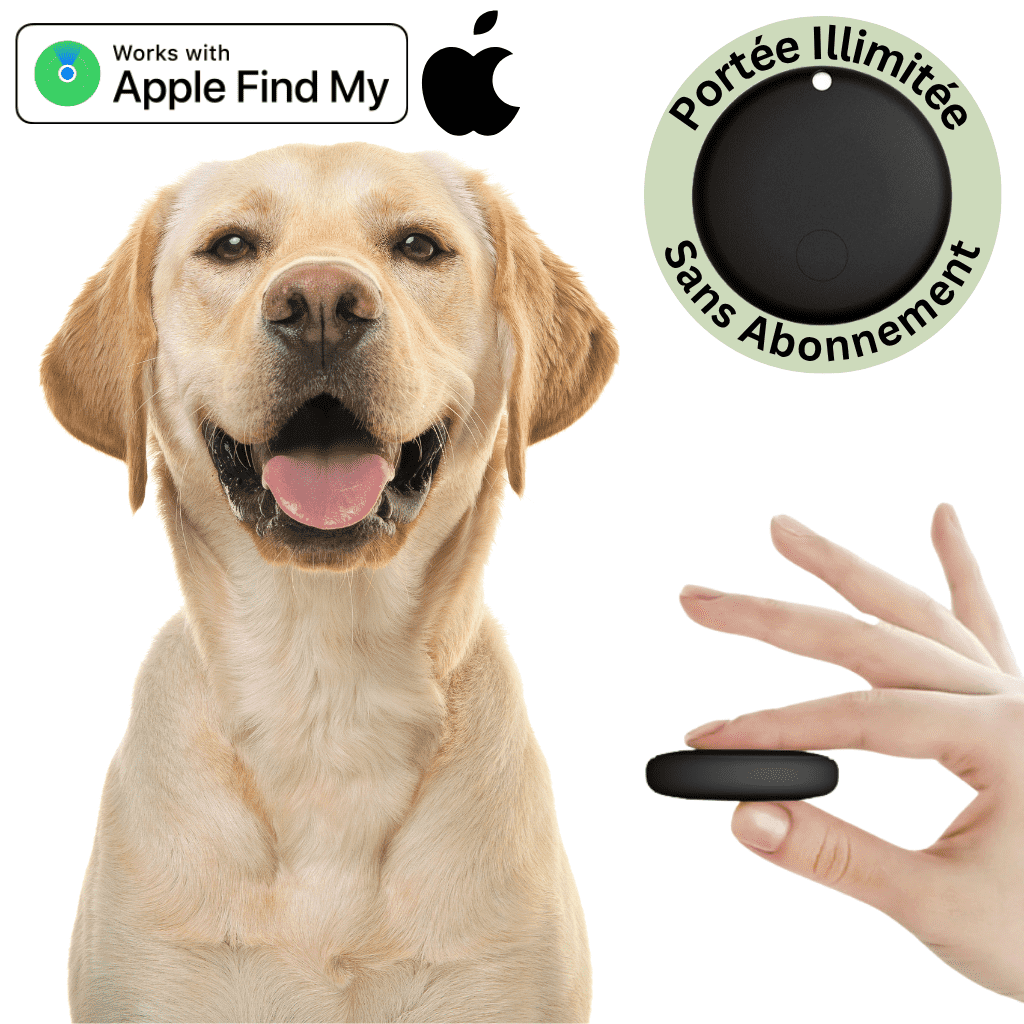 Comfexia™ – Traceur GPS Chien Sans Abonnement & Sans Carte SIM, Compatible Android & iOS