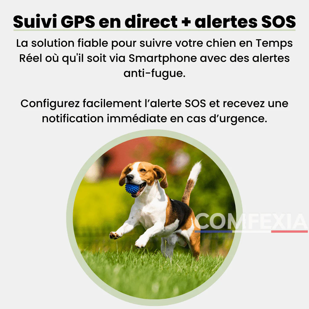 Comfexia™ – Traceur GPS Chien Sans Abonnement & Sans Carte SIM, Compatible Android & iOS