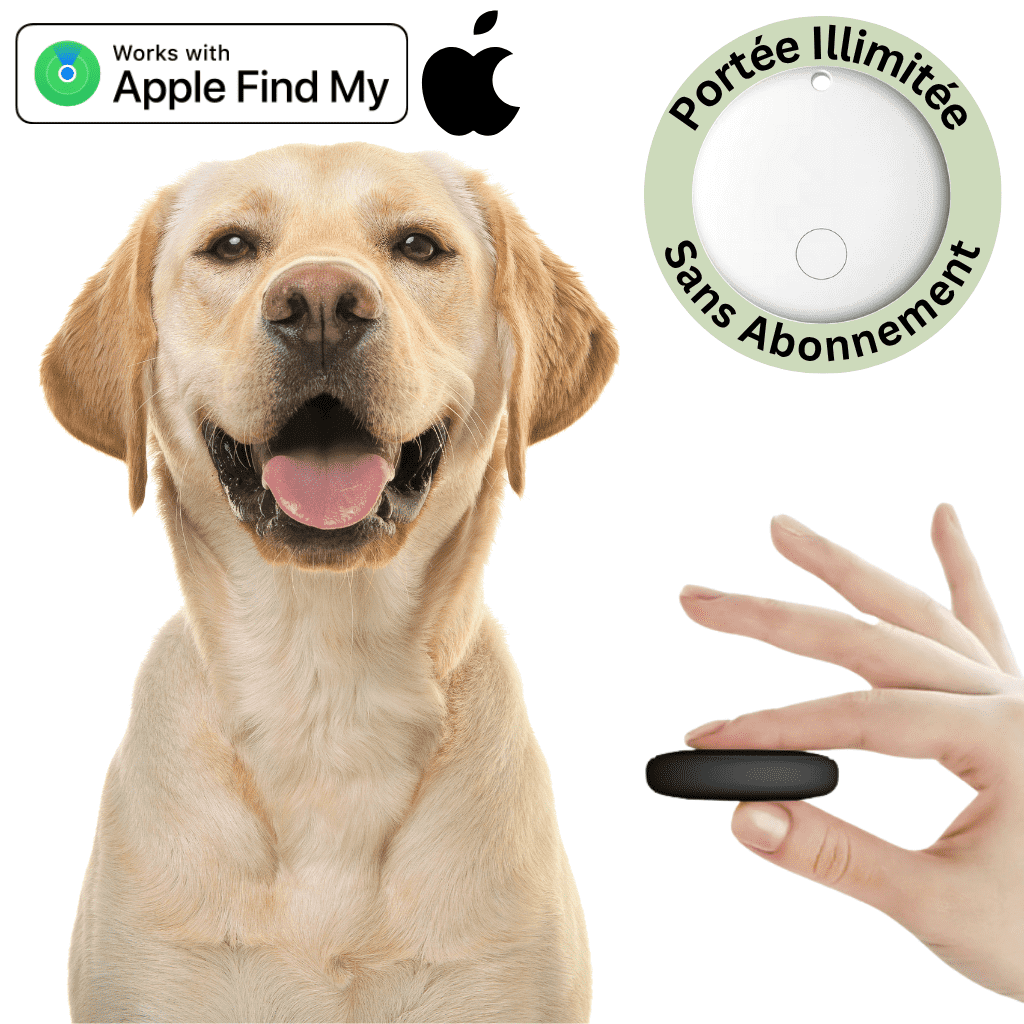 Comfexia™ – Traceur GPS Chien Sans Abonnement & Sans Carte SIM, Compatible Android & iOS