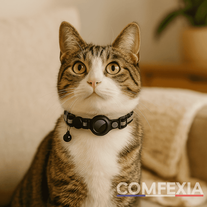 Comfexia™ – Collier GPS Sans Abonnement pour chat, IOS & Android