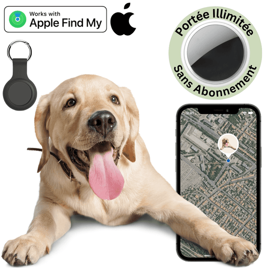Comfexia™ – Traceur GPS Chien Localisation Précise Sans Abonnement