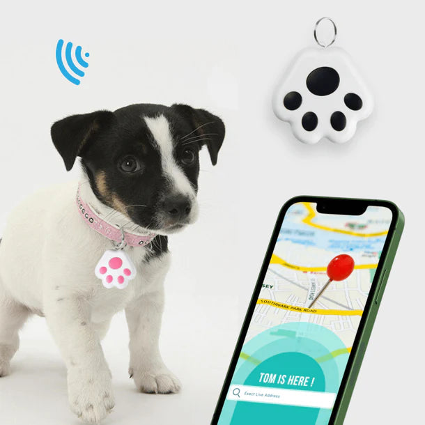 DogTagg™ – GPS Pour Chien Sans Abonnement, IOS & Android