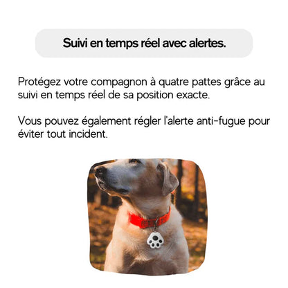 DogTagg™ – GPS Pour Chien Sans Abonnement, IOS & Android