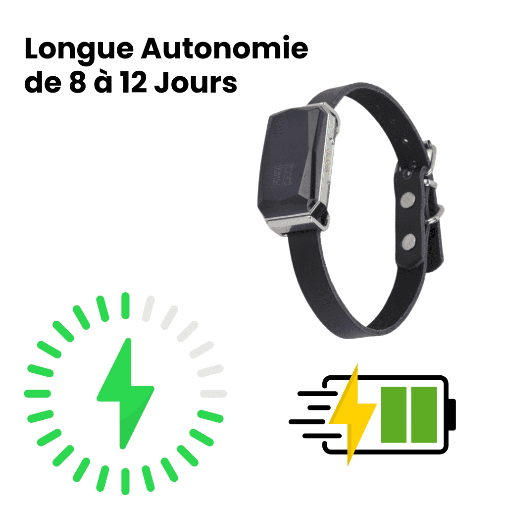 Petrovia™ – Collier GPS Sans Abonnement avec Portée Illimitée