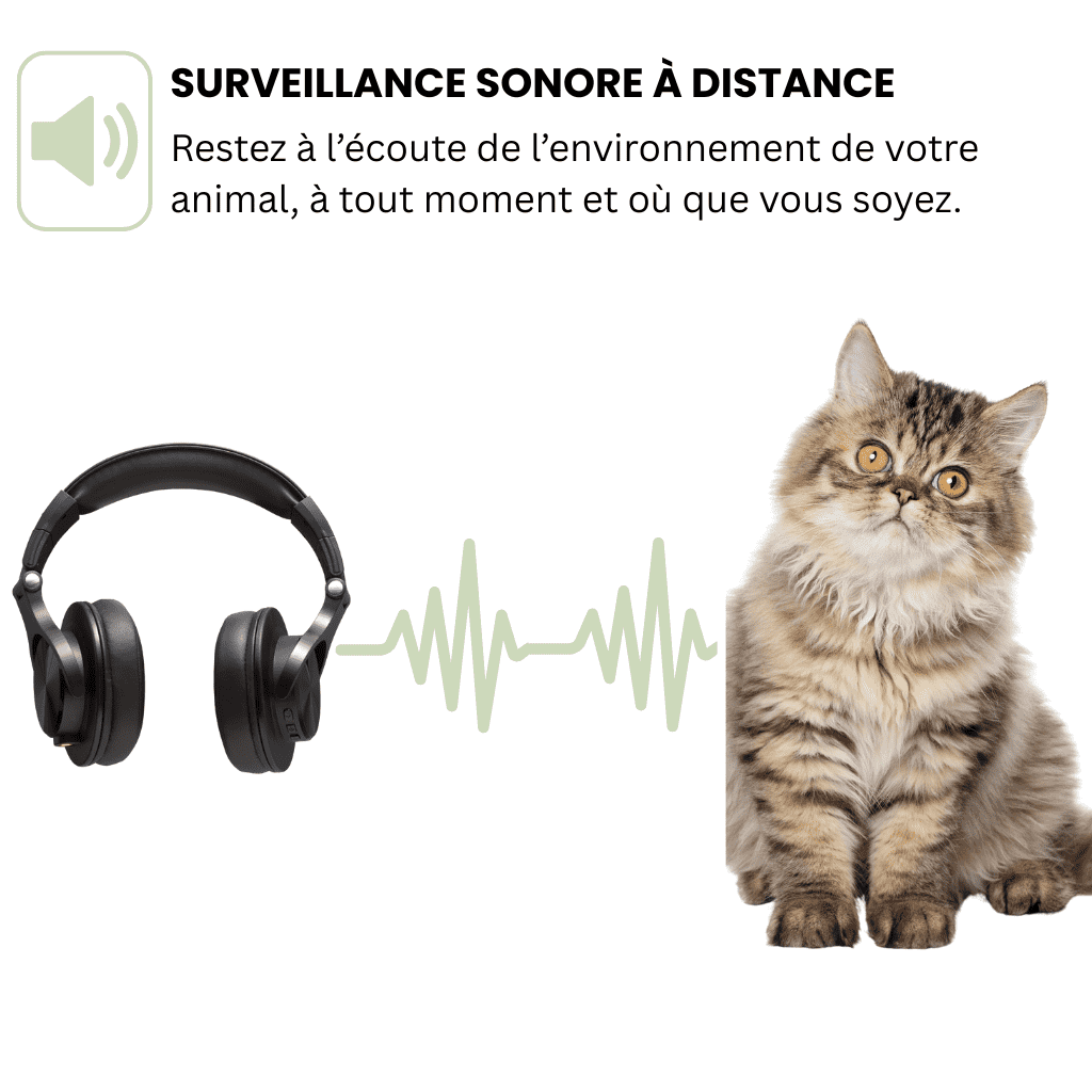 Petrovia™ – Collier GPS Sans Abonnement avec Portée Illimitée