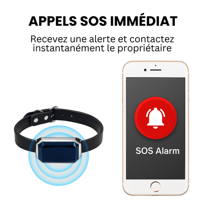 Petrovia™ – Collier GPS Sans Abonnement avec Portée Illimitée