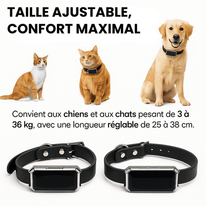 Petrovia™ – Collier GPS Sans Abonnement avec Portée Illimitée