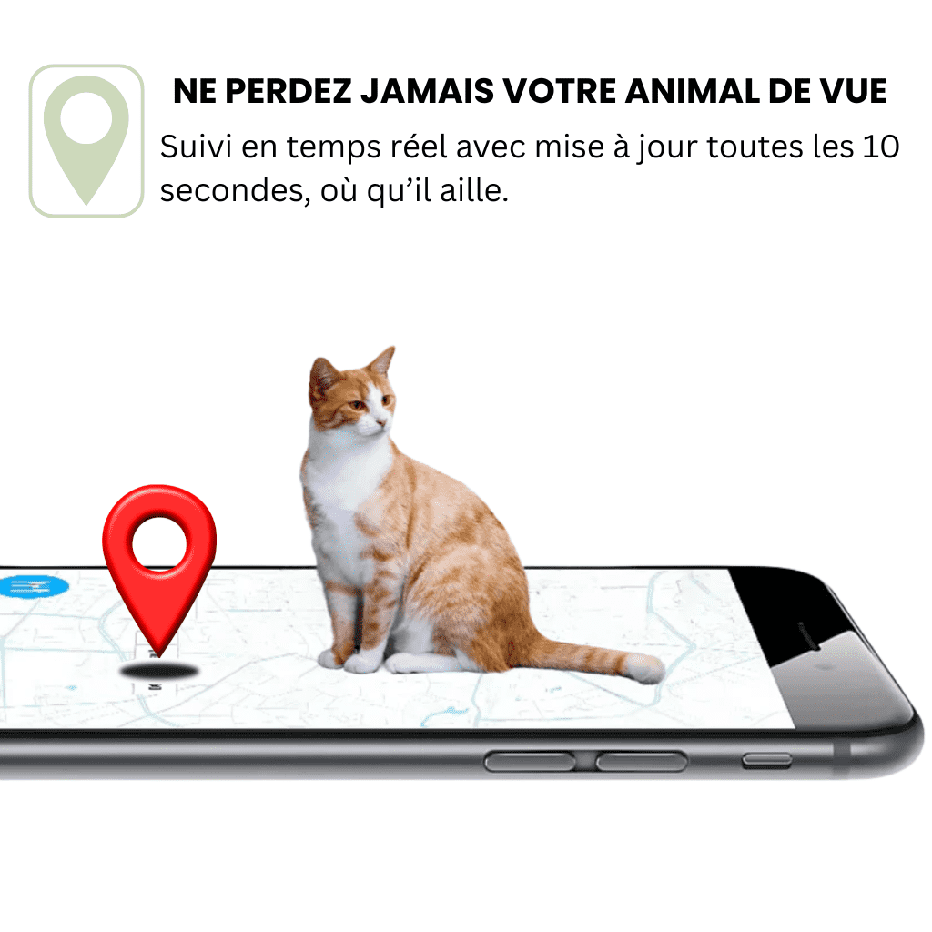 Petrovia™ – Collier GPS Sans Abonnement avec Portée Illimitée