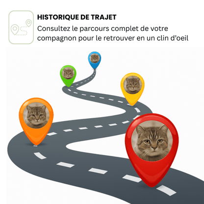 Petrovia™ – Collier GPS Sans Abonnement avec Portée Illimitée