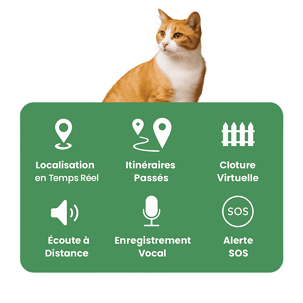 Petrovia™ – Collier GPS Sans Abonnement avec Portée Illimitée