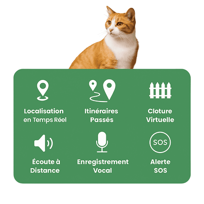 Petrovia™ – Collier GPS Sans Abonnement avec Portée Illimitée