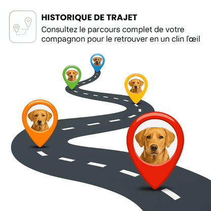 Petrovia™ – Collier GPS Sans Abonnement pour Chien & Chat, Portée Illimitée