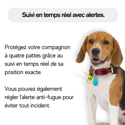 PupTag™ – Localisateur GPS Pratique pour Chien et Chiot