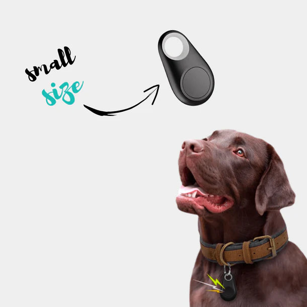 PupTag™ – Localisateur GPS Pratique pour Chien et Chiot