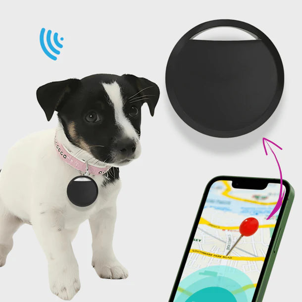 RoverFex™ – Traceur GPS Chien Sans Abonnement | Alertes Anti-Fugue