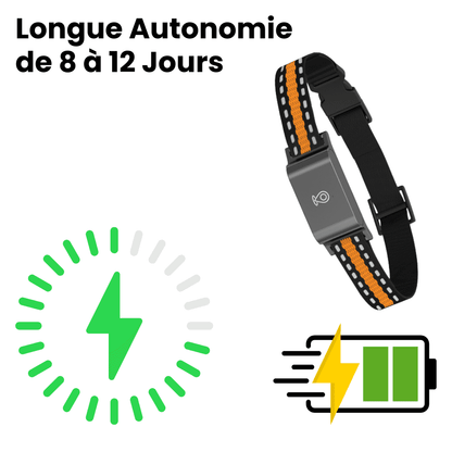SafePaw™ – Collier GPS Sans Abonnement  avec Suivi en Temps Réel