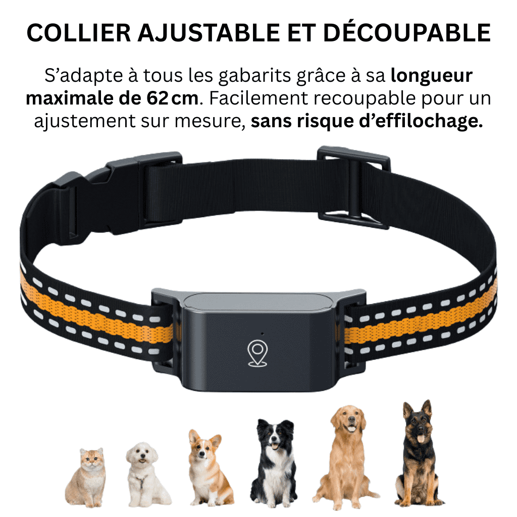 SafePaw™ – Collier GPS Chat Sans Abonnement avec Suivi Précis, Portée Illimitée